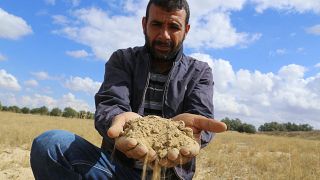 مزارع يحمل حفنة من التربة الجافة بسبب الجفاف في منطقة القيروان، تونس.