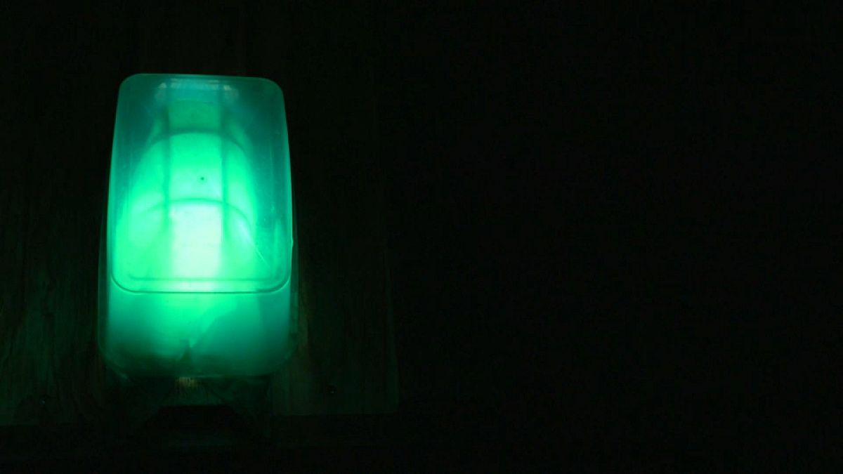 وکیل لهستانی برای کمک به پناهجویان درمانده در مرز بلاروس چراغ سبز روشن می‌کند