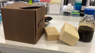 Enzymes and wood biomolecules, a winning combo for sustainable packaging