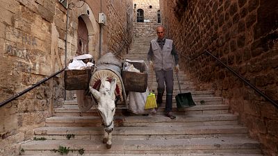 Donkeys help locals clean the streets of the ancient Turkish city of Mardin