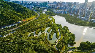Chinas "Schwammstädte": Die Verbindung mit der Natur wieder herstellen