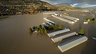 La montée des eaux de crue entoure des granges à Abbotsford, en Colombie-Britannique, le 16 novembre 2021.