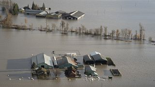 Une ferme est entourée par les eaux de crue à Abbotsford, en Colombie-Britannique, Canada, 16 novembre 2021