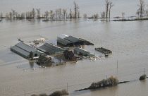 A farm is surrounded by floodwaters in Abbotsford, British Columbia, Tuesday, Nov. 16, 2021.