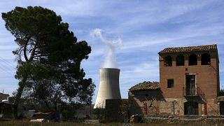 En 2008, las autoridades españolas tuvieron que realizar estudios a unas 800 personas en la ciudad de Ascó tras una fuga en la central nuclear Ascó I un año antes. (ARCHIVO)