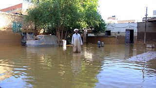 Égypte : 4 morts et 500 piqûres de scorpions dans les pluies diluviennes