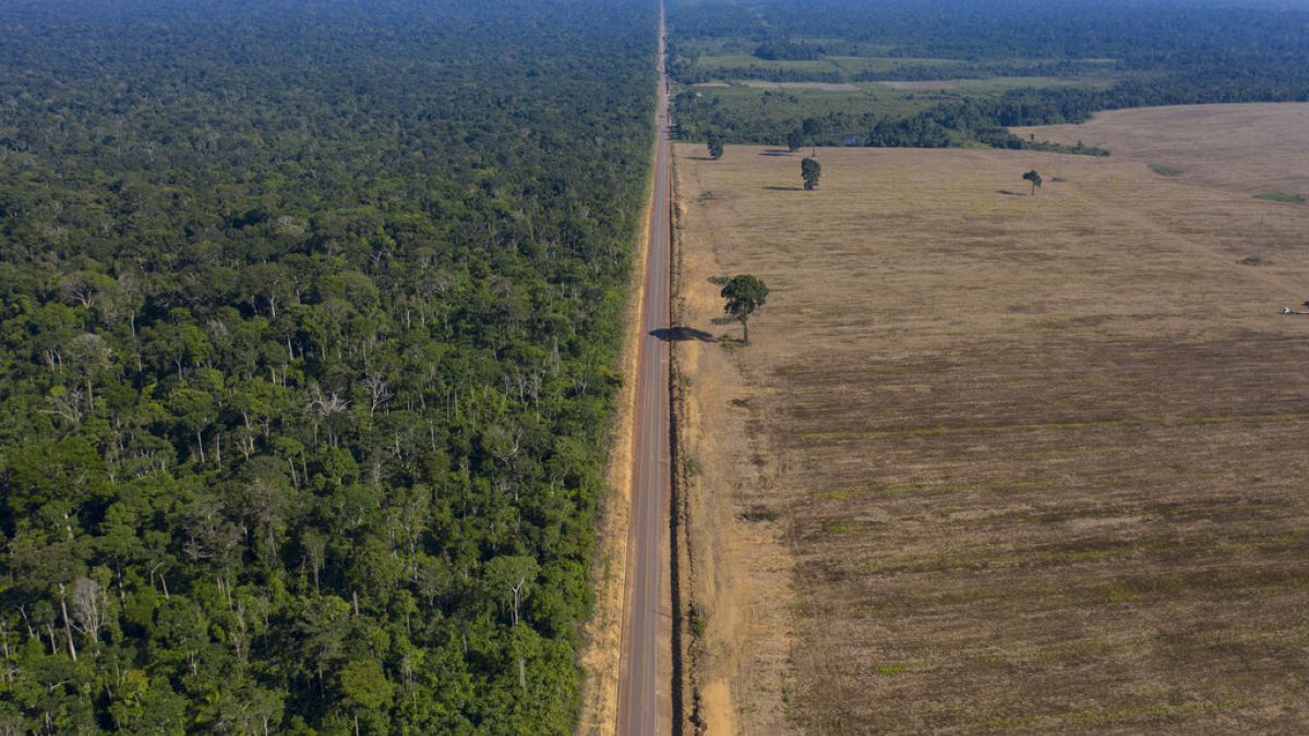 A BR-163-as út vágja ketté a Tapajos nemzeti parkot - az egyik oldalon az esőerdő, a másikon a helyén létrehozott szántóföld