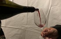 A la fête du "Beaujolais nouveau", le vin coule à flot - Beaujeu (Rhône), le 17/11/2021 (capture d'écran d'une vidéo euronews)