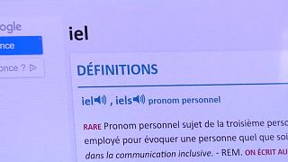 Во французском словаре появилось новое местоимение