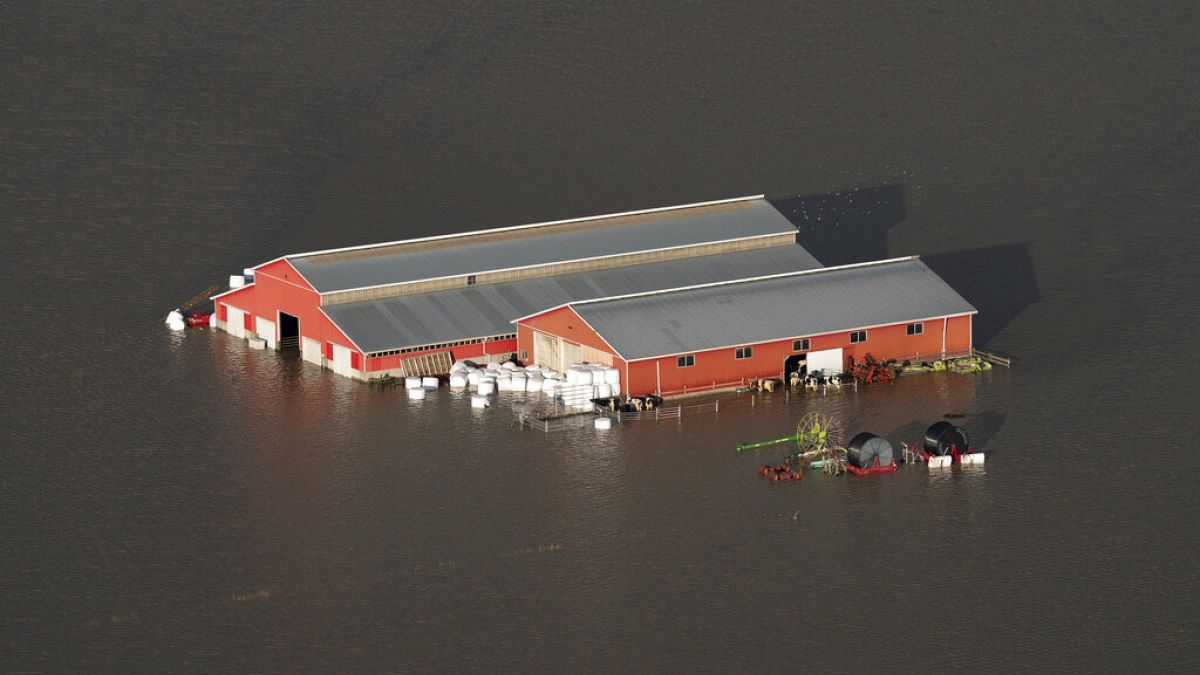 حظيرة محاطة بمياه الفيضانات في مقاطعة بريتيش كولومبيا الكندية، الثلاثاء 16 نوفمبر 2021 