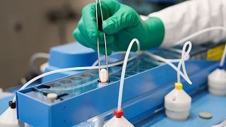 صنع حبوب "باكسلوفيد" المضادة لفيروس كورونا داخل مختبر شركة فايزر في فرايبورغ، ألمانيا، في 16 نوفمبر 2021.