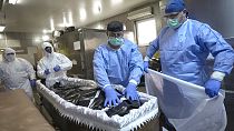 Des membres du personnel médical placent le corps d'une victime du COVID-19 dans un cercueil, Bucarest, Roumanie, 8/11/2021