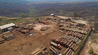 O ritmo de desmatamento atingiu o valor máximo desde 2006
