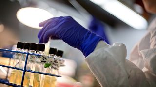 عينات للبكتيريا في معمل مقاومة مضادات الميكروبات في مختبر الأمراض المعدية في المركز الفيدرالي للسيطرة على الأمراض والوقاية في أتلانتا بالولايات المتحدة