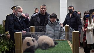 La championne olympique chinoise Zhang Jiaqi (à droite) et le footballeur français Kylian Mbappé (à gauche) posent avec les deux pandas lors de la cérémonie du nom, 18/11/2021