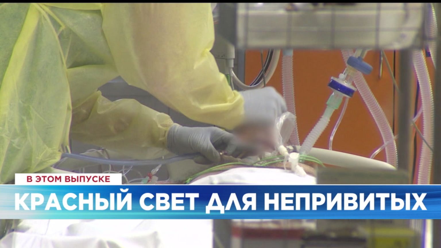 Ознакомьтесь с главными новостями сегодня | 19 ноябрь — Дневной эфир