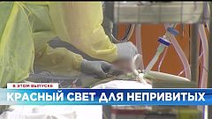 Ознакомьтесь с главными новостями сегодня | 19 ноябрь — Дневной эфир