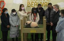 Kyliam Mbappé enthüllte im Parc de Beauval den Namen seines Panda-Patenbabys