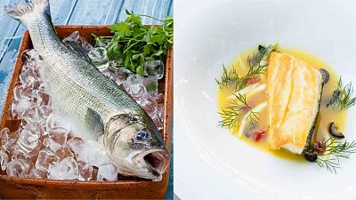 Sea bass with orange and fennel