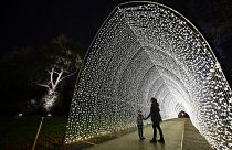 Christmas at Kew Gardens is already on the brink of selling out this year