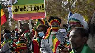 Ethiopian diaspora holds pro-Abiy rallies, denounce Biden