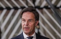 Hollanda Başbakanı Mark Rutte
