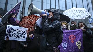 İstanbul Sözleşmesi'nin uygulanması için gösteri düzenleyen eylemciler (arşiv) 