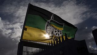 Afrique du Sud : l'ANC perd la mairie de Johannesburg