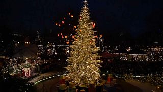 Weihnachtsbaum im Tivoli