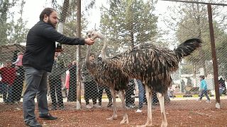 افتتاح حديقة حيوانات جديدة في مدينة إدلب في الشمال السوري