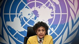 Irene Khan a szólás- és véleménynyilvánítás szabadságának védelmével foglalkozó különleges ENSZ jelentéstevője