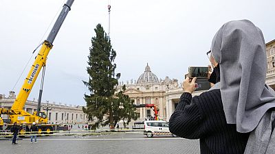 A nun takes photos as a crane lifts a 113-year-old and 28-meter-tall spruce in St. Peter's Square, to serve as a Christmas tree, at the Vatican