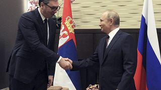 Путин и Вучич на встрече в Сочи