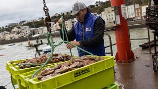 French fisherman Herman Outrequin, who does not have a license to fish in the U.K waters, works in the port of Granville, Normandy, Tuesday, Nov. 2, 2021.