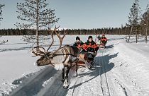 Tourists on reindeer sleigh ride in Finnish Lapland 