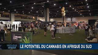 Le potentiel du cannabis en Afrique du Sud [Business Africa]