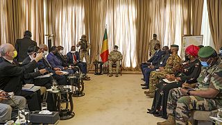 UN demands "rapid return" of civilians to power in Mali and Guinea