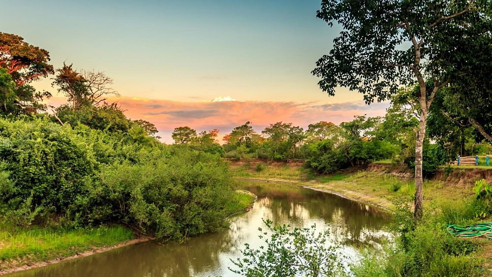 try-these-nature-filled-destinations-if-south-africa-was-on-your-list