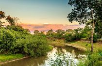 Pantanal wetlands, Brazil
