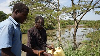 Ouganda : à Gulu, la "mouche noire" menace les riverains de cécité