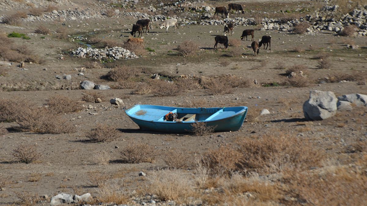 Muş'ta kuraklık nedeniyle Alparslan-1 Barajı'nın su seviyesi önemli ölçüde azaldı