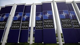 NATO bayrakları