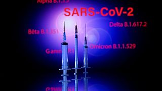 This photograph taken on December 2, 2021, shows a syringe and a screen displaying the SARS-Cov-2 mains variants : Alpha, Beta, Delta, Gamma and Omicron, in Toulouse.