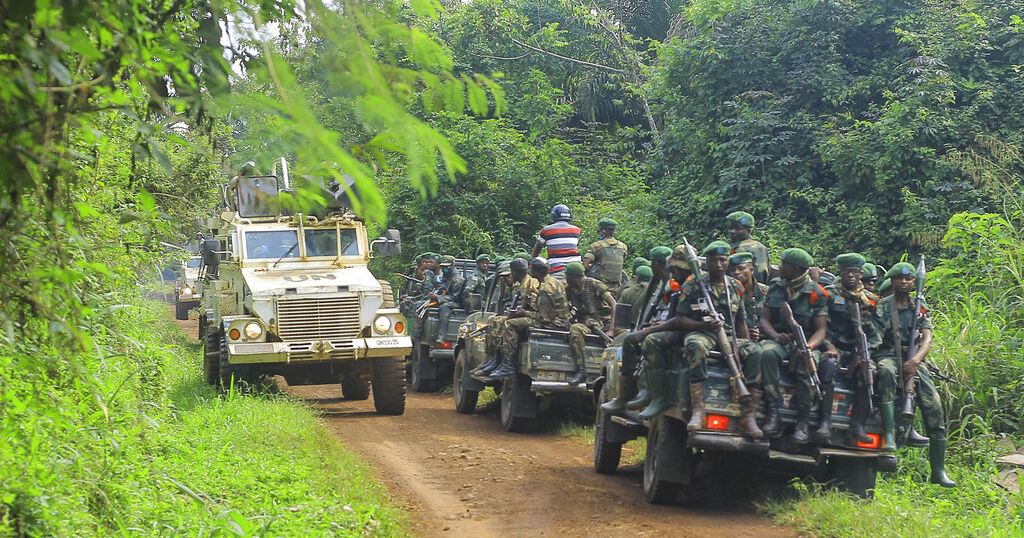 11 ADF Rebels Killed In East DR Congo- Army | Africanews