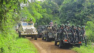 11 ADF rebels killed in east DR Congo- Army