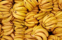 Banana farmers in the Caribbean will be able to claim compensation for prostate cancer caused by a banned pesticide