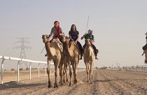 Los Emiratos Árabes Unidos acogen la primera carrera femenina de camellos con licencia 