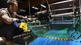 French Ifremer engineer Julien Simon tests a fishing net equiped with a camera to sort fish species on October 5, 2021.
