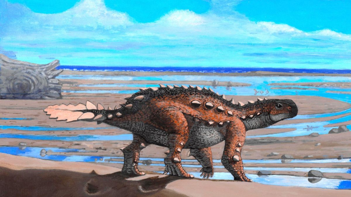 بقايا لنوع من الديناصورات الغريبة بحجم الكلاب التي كانت تمتلك سلاحًا فريدًا من نوعه.