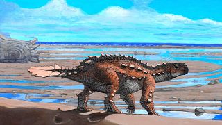 بقايا لنوع من الديناصورات الغريبة بحجم الكلاب التي كانت تمتلك سلاحًا فريدًا من نوعه.